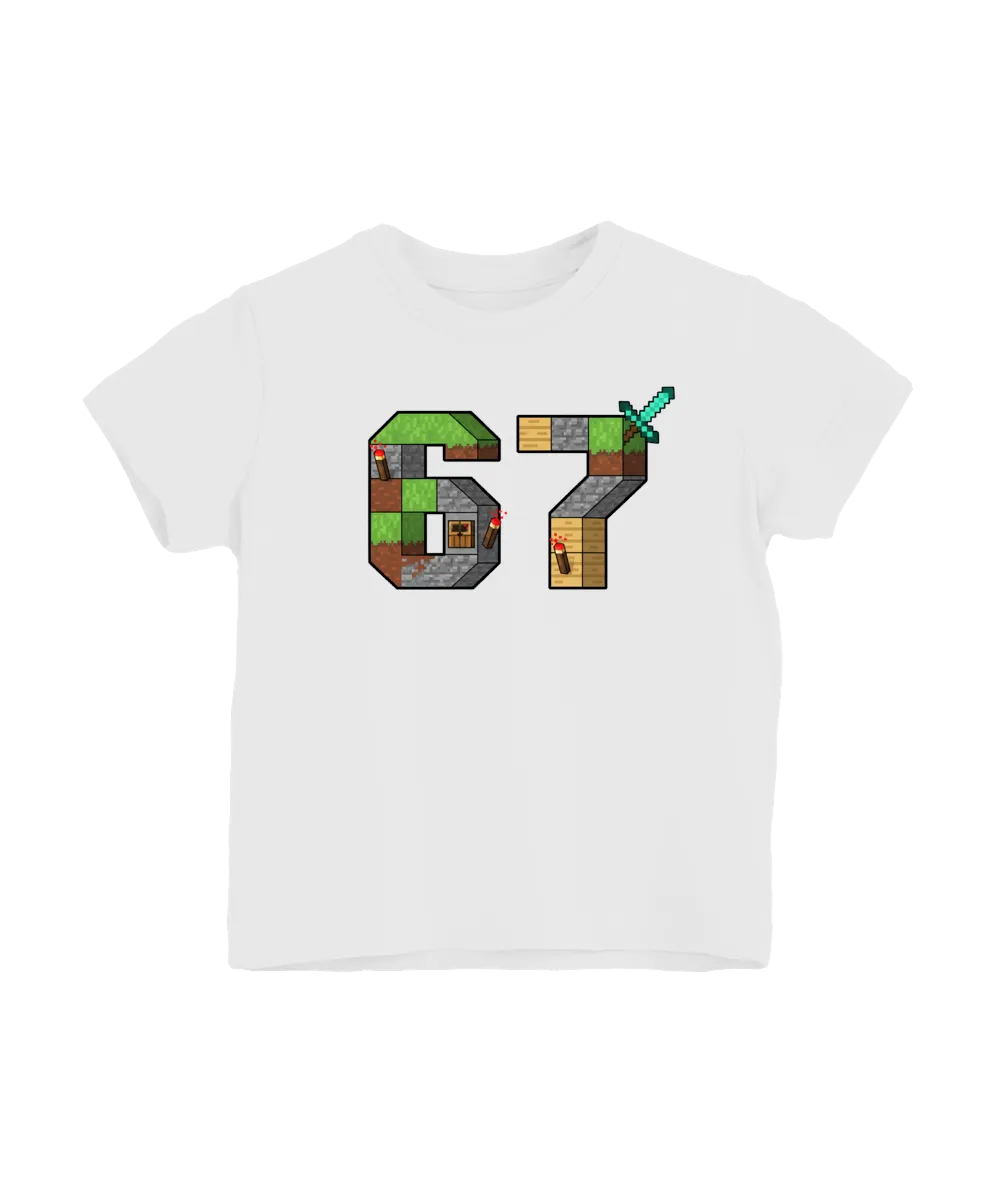 Minecraft 6 7