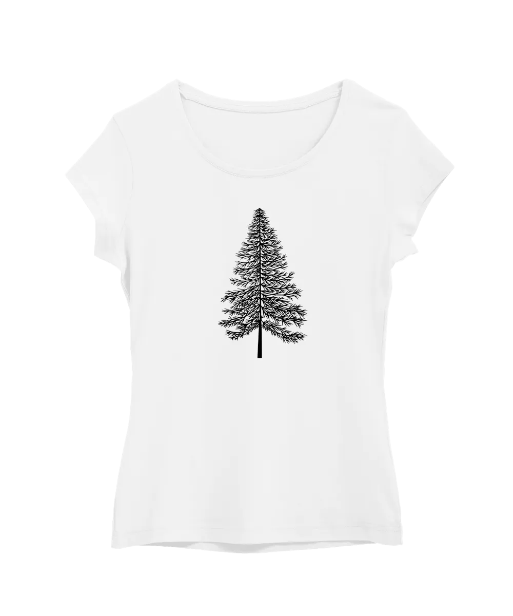 Lonely Spruce