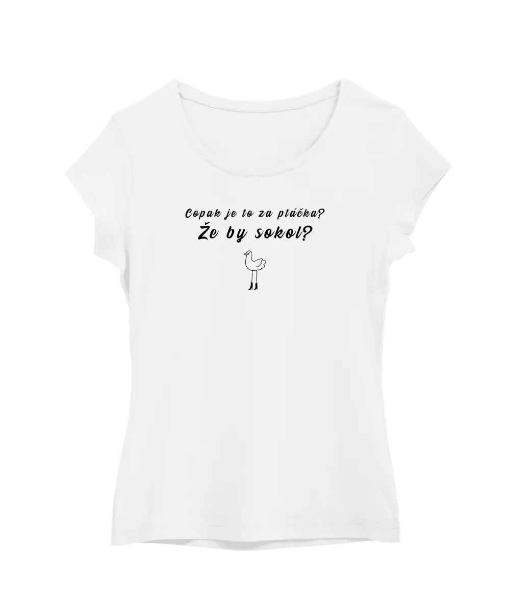 Copak je to za ptáčka? Že by sokol?