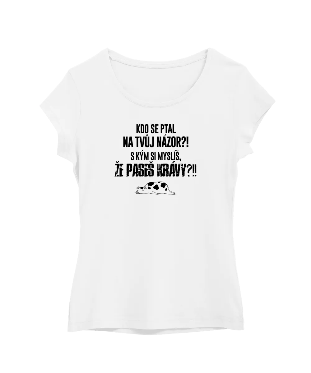 Kdo se ptal na tvůj názor?