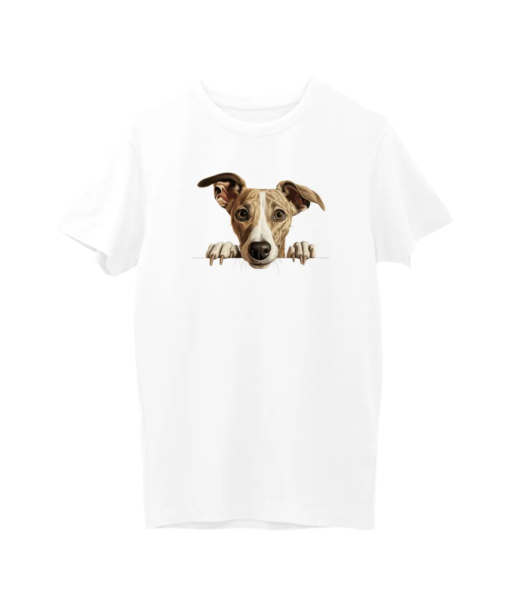 Whippet