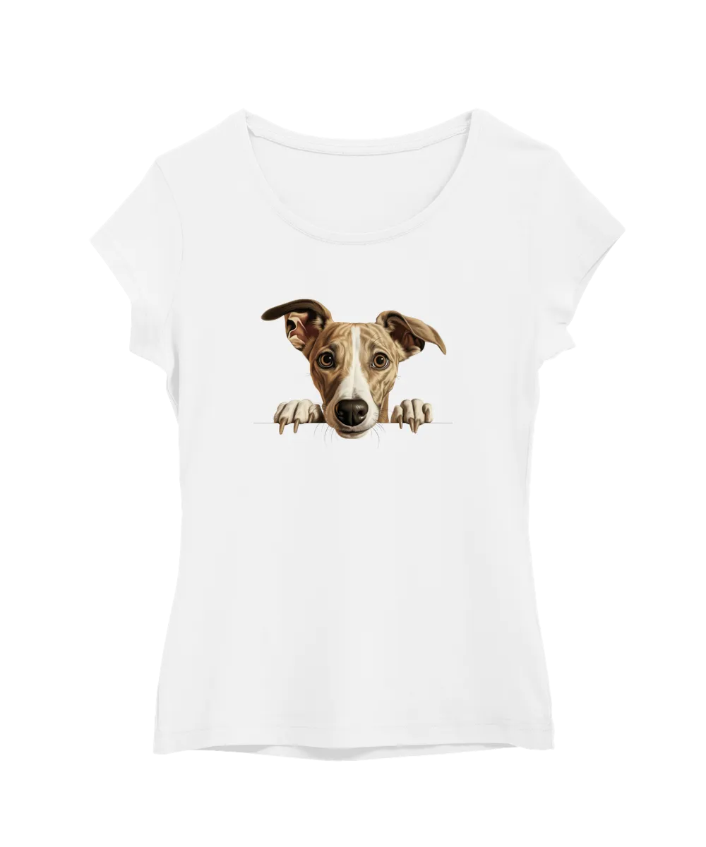 Whippet