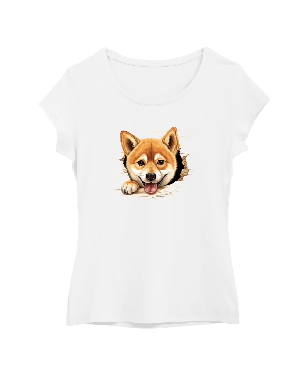 Shiba Inu