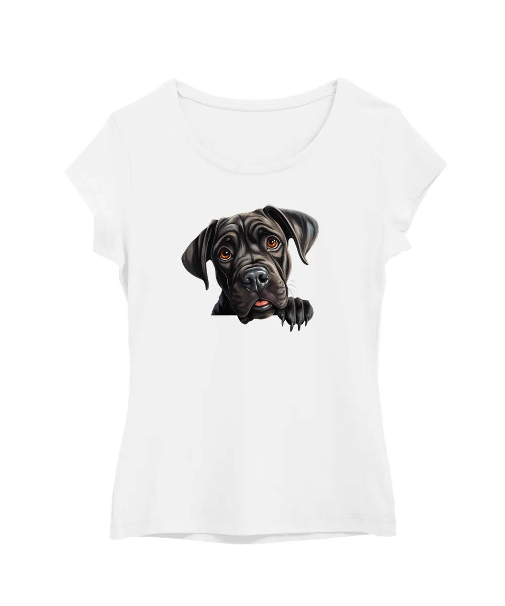 Cane Corso