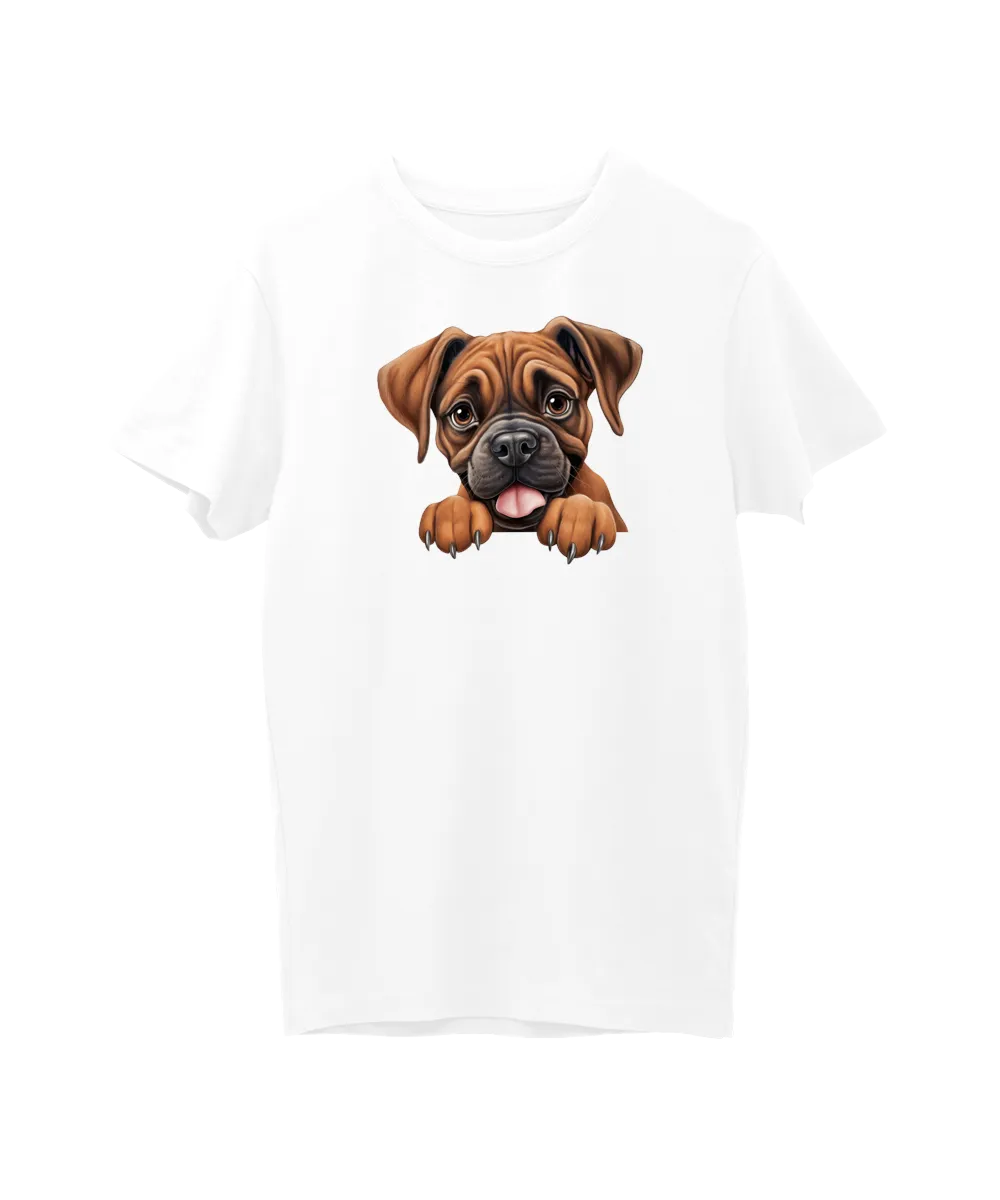 Boxer
