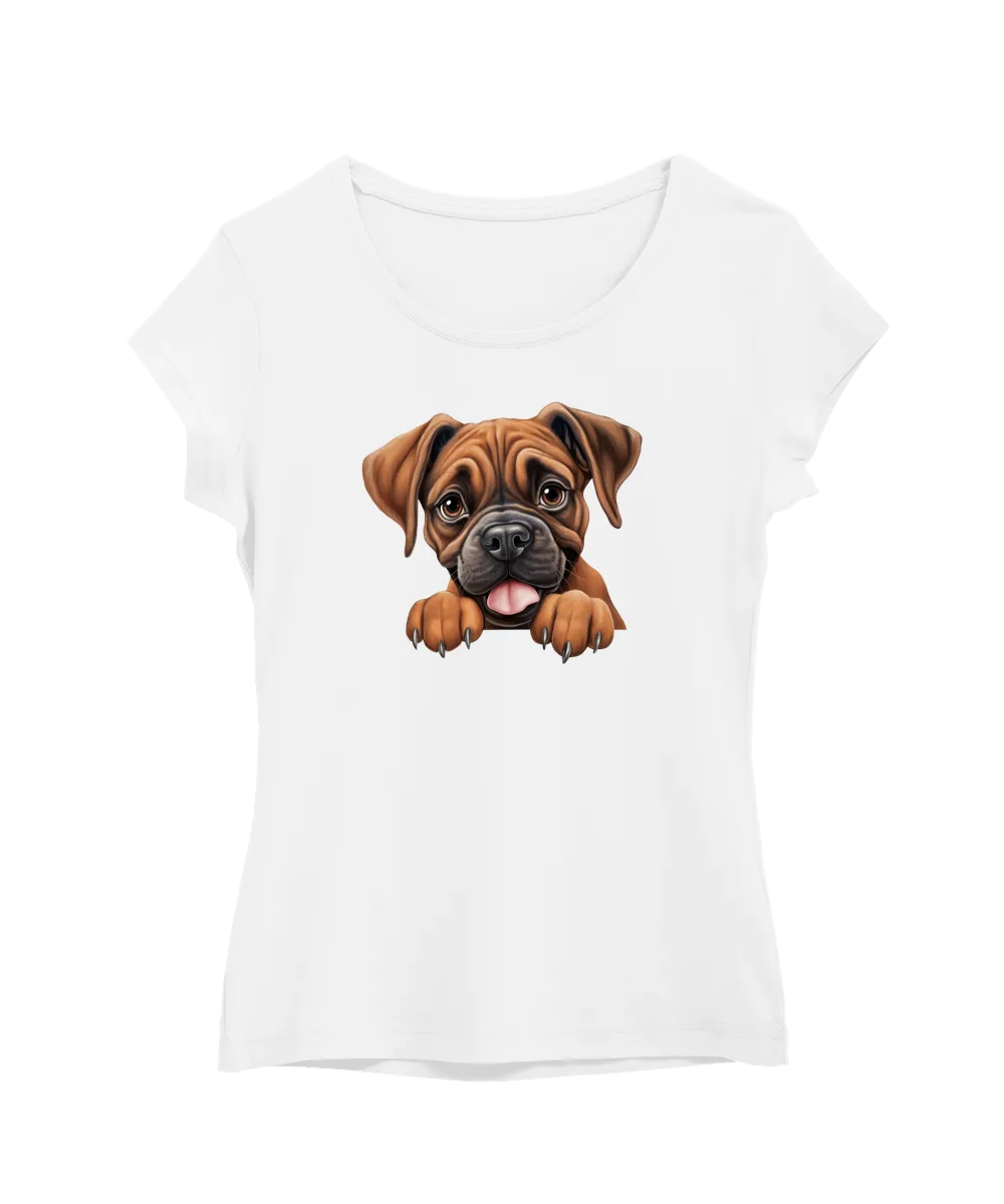Boxer