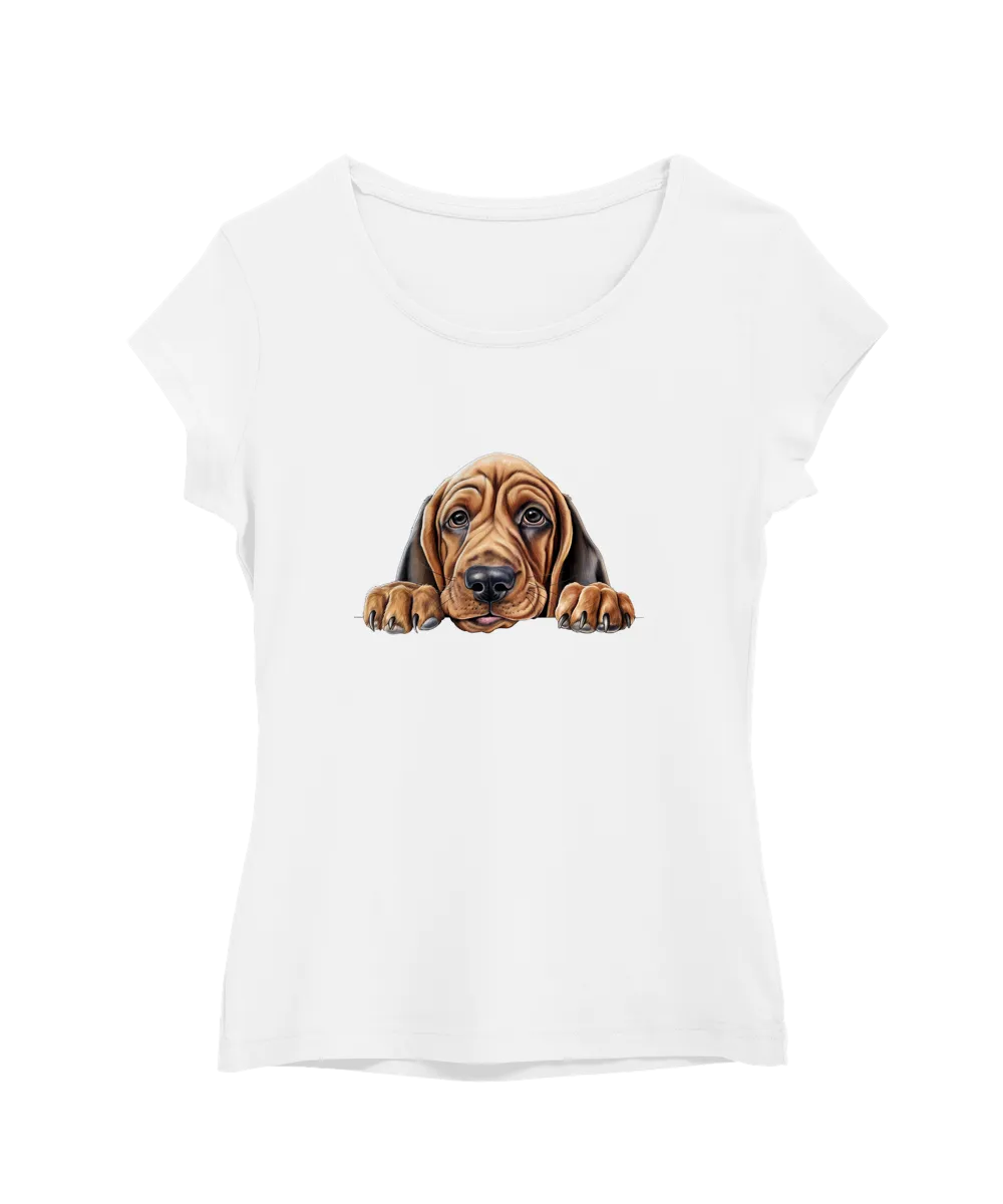 Bloodhound
