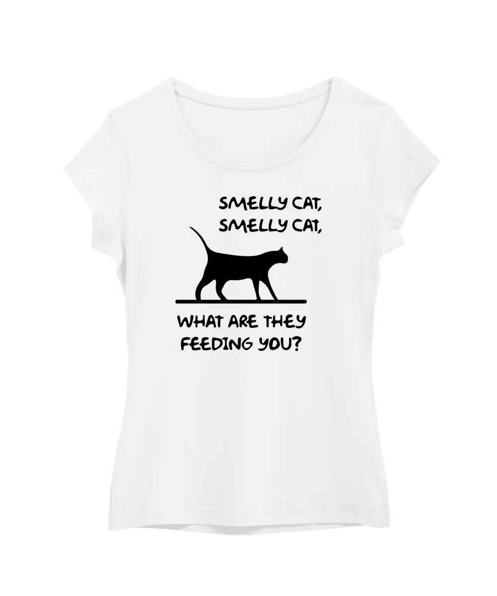 Smelly Cat Song