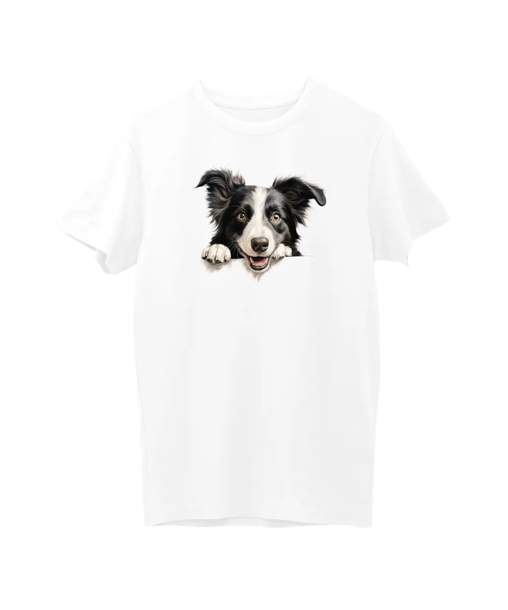 Border kolie